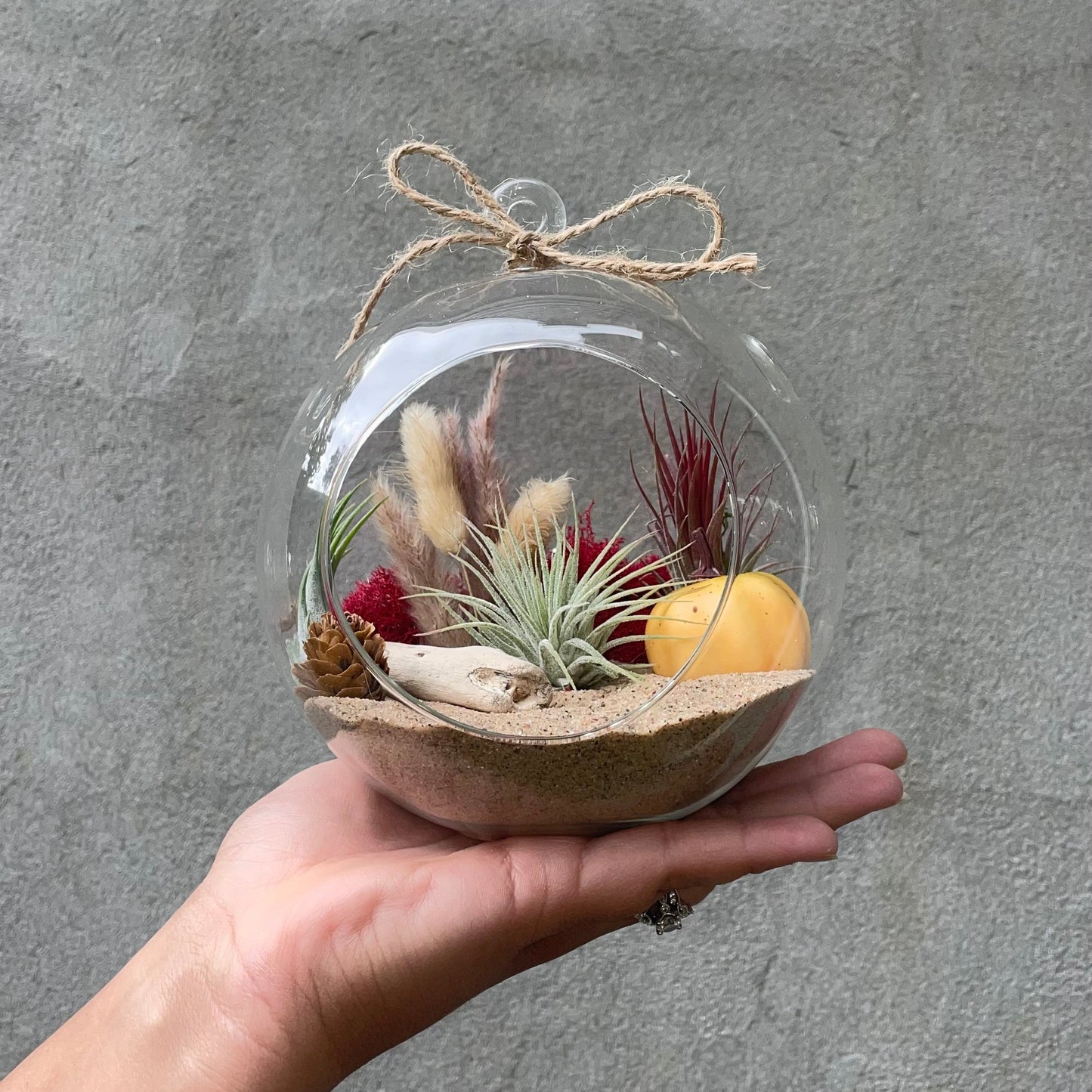 Air Plant Terrarium Craft Kit